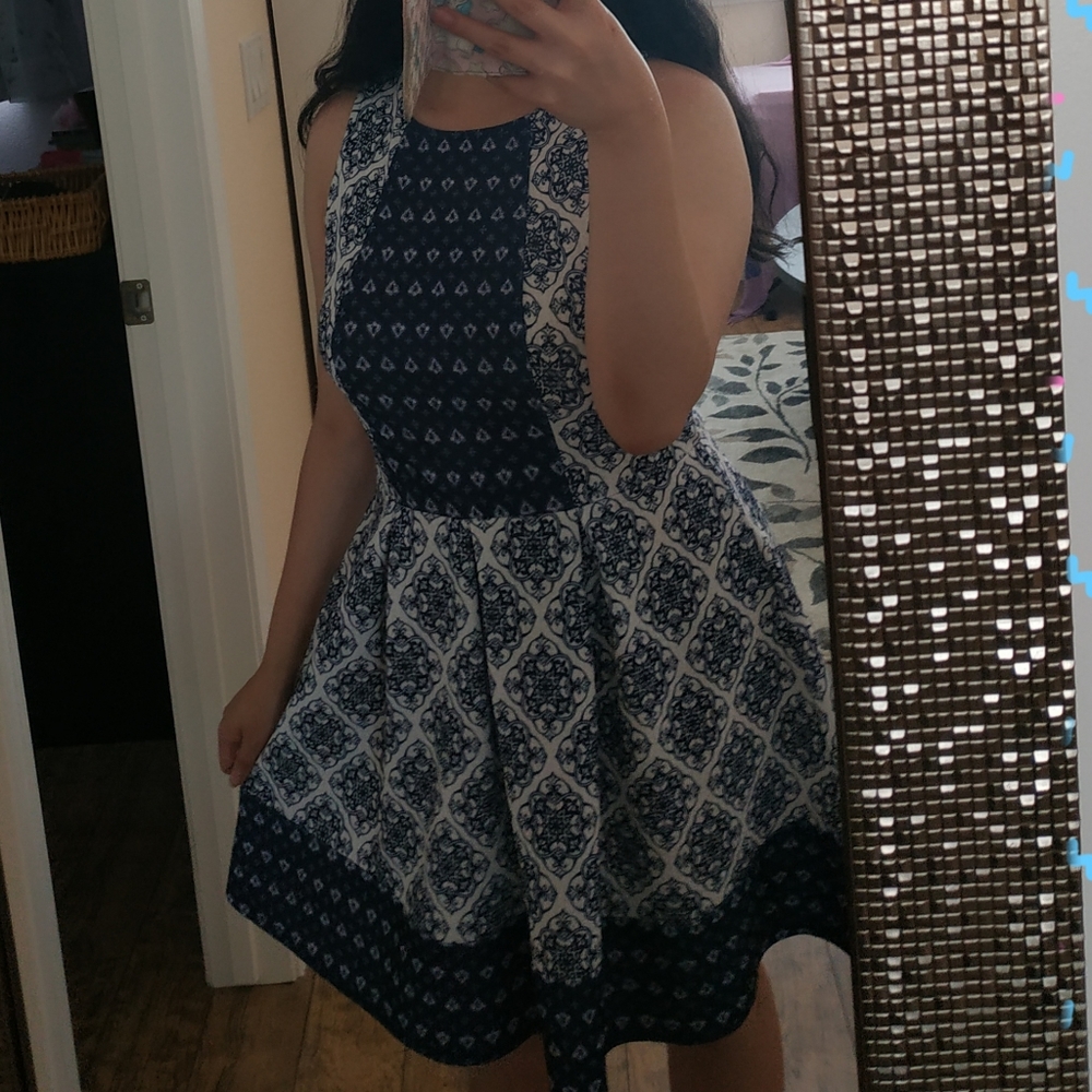 Super cute blue and white skater dress